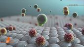 Coronavirus, isolata una variante più debole
