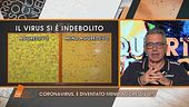 Il virus si è indebolito?