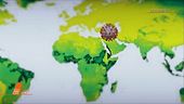 Virus, può esserci la seconda ondata?