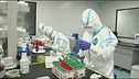 Coronavirus, il parere di Germano Dottori