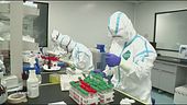 Coronavirus, il parere di Germano Dottori