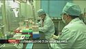 Coronavirus: tutto quello che c'è da sapere