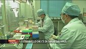 Coronavirus: tutto quello che c'è da sapere
