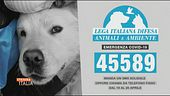 LEIDAA per l'emergenza COVID-19
