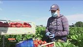 "Cambio lavoro causa virus"