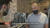 La riapertura delle palestre