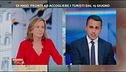 Di Maio e il reddito di cittadinanza