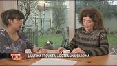 Adotta una sardina