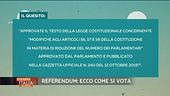 Il referendum sul taglio dei parlamentari