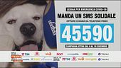 Emergenza Covid-19