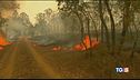Australia tra le fiamme