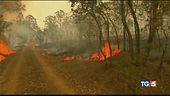 Australia tra le fiamme