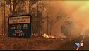 I roghi in Australia le cifre del disastro