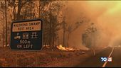 I roghi in Australia le cifre del disastro