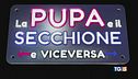 Il ritorno de "La Pupa e il secchione"