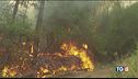 Scenari di guerra incendi senza fine