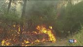 Scenari di guerra incendi senza fine
