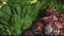 Dieta mediterranea? Sana, facile e fa bene