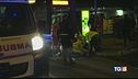 Cinghiali in autostrada: schianto e due vittime
