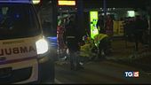 Cinghiali in autostrada: schianto e due vittime