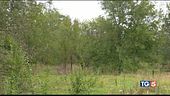 Trovati resti nel bosco potrebbe essere Iushra