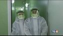 Virus, allarme dell'OMS: "abbiamo sottovalutato"