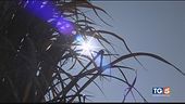 E dopo il caldo record ora ritorna l'inverno
