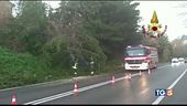 E' tornato l'inverno, gelo e bufere di neve