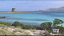 Sardegna, La Pelosa a numero chiuso