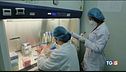Coronavirus nel mondo