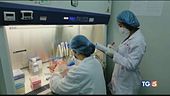 Coronavirus nel mondo