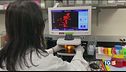 Coronavirus, la situazione nel mondo