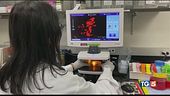 Coronavirus, la situazione nel mondo