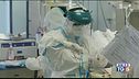 La corsa del virus Europa focolaio