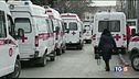 Corre il contagio, è strage di visoni