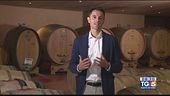 Gusto di Vino: vini rossi e uve internazionali