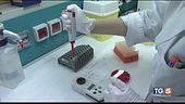 Virus, 2263 i contagiati si ampliano zone rosse?