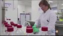 Pfizer: vaccino pronto Borse spiccano il volo
