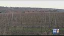 Gusto Di Vino: le colline venete di Custoza