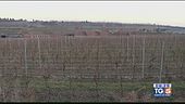Gusto Di Vino: le colline venete di Custoza