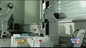 Vaccini subito a Londra Usa, picco di contagi