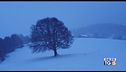 Anticipo di inverno freddo e neve
