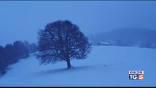 Anticipo di inverno freddo e neve