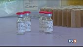 Lo sprint dei vaccini