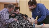 Disabilità e inclusione, la civiltà di uno Stato