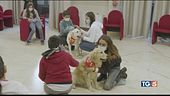 La dog therapy arriva nelle scuole