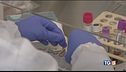 Coronavirus: contagi in discesa, allarme per anziani