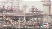 Petrolio: taglio della produzione