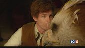 La magia di "Animali Fantastici" su Canale 5