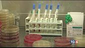 Virus non è sconfitto un test unico per tutti